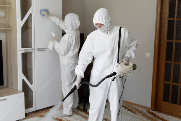 24/7 Emergency Odor Removal experts in Santa Clara, UT
